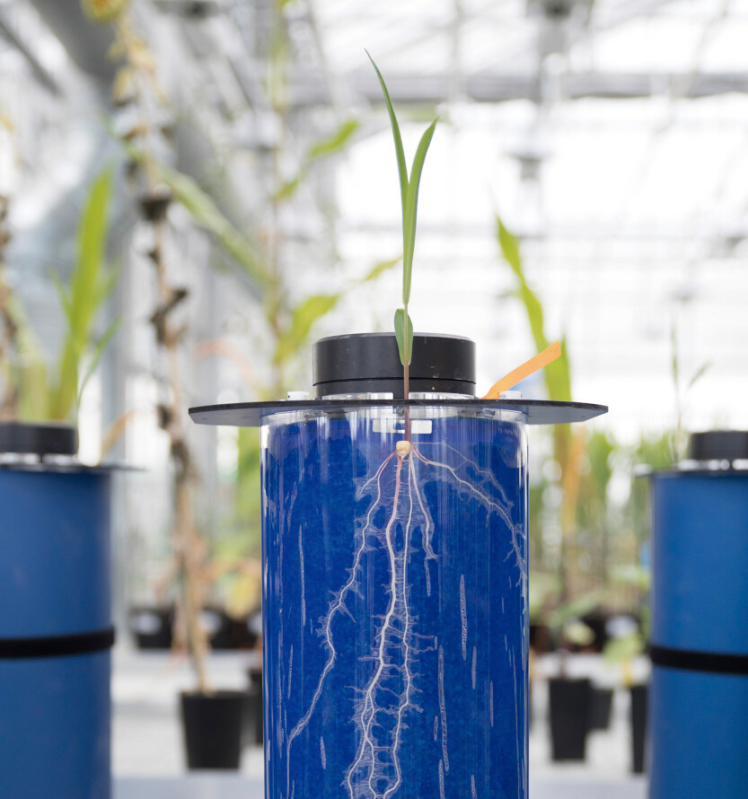 Laboratório da Timac Agro desenvolvendo fertilizantes e biostimulantes