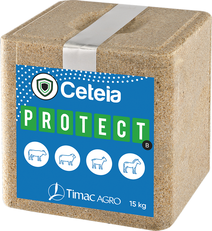 CETEIA PROTECT-B