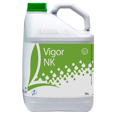VIGOR NK