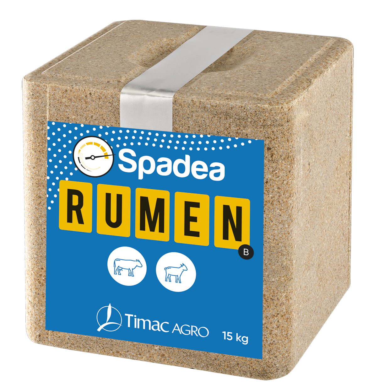 SPADEA RUMEN B
